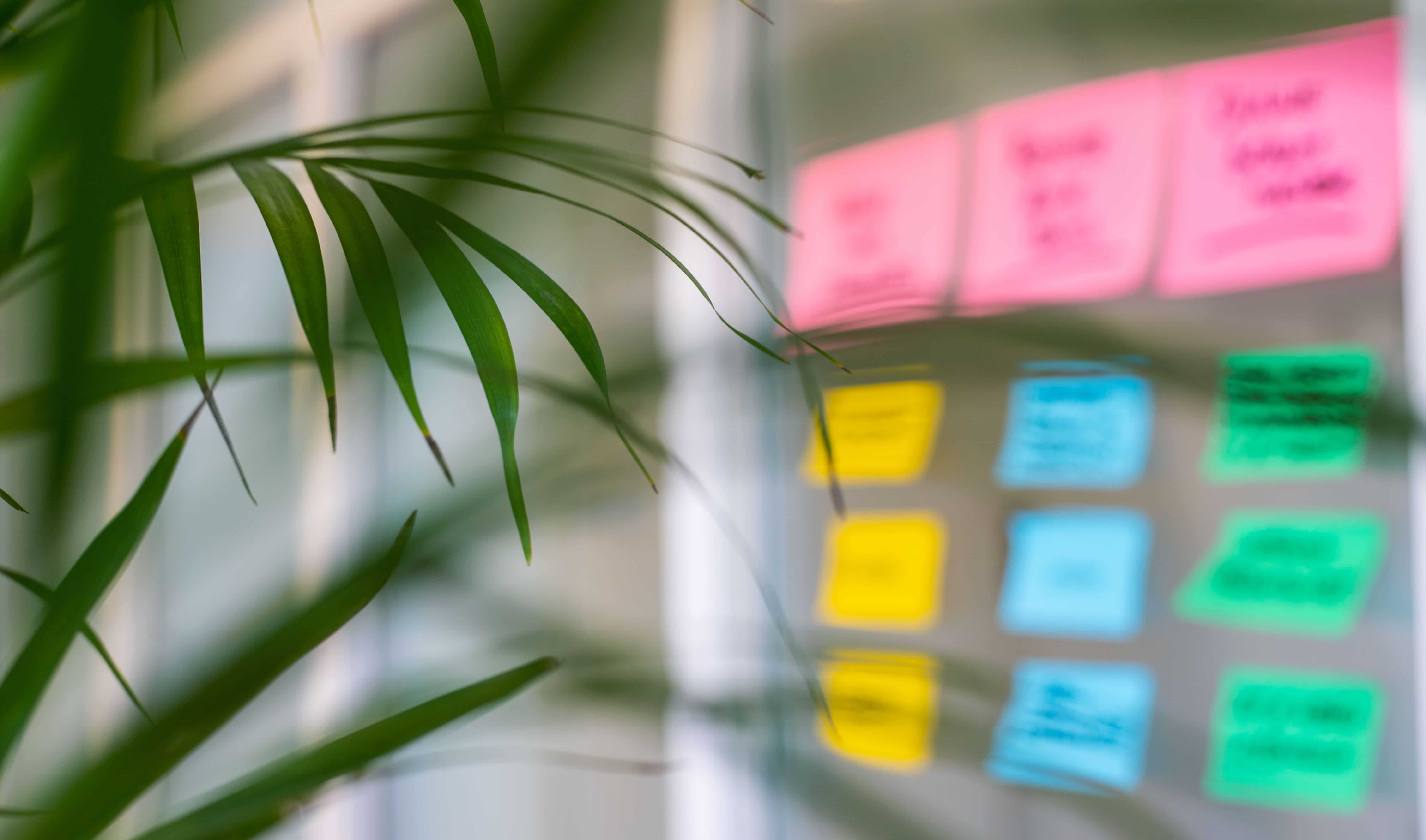 Agile management