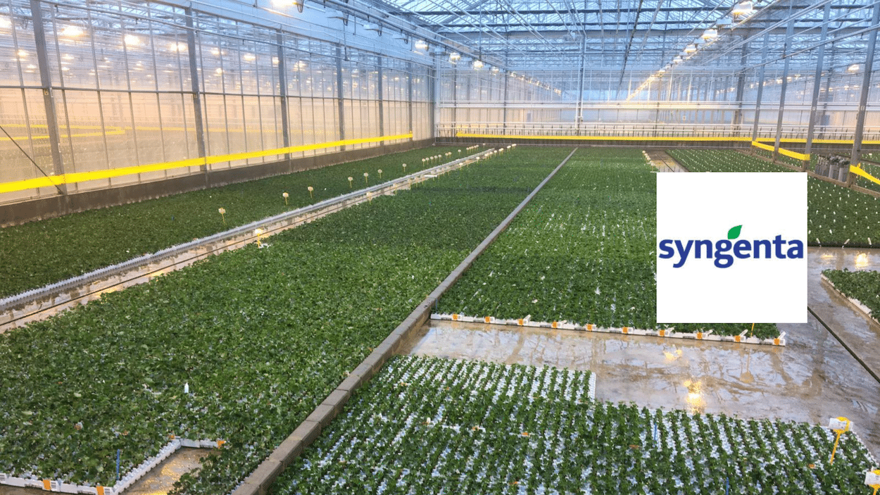 Syngenta kiest Scrum Academy als Agile partner