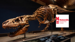 Naturalis, agile werken als museum