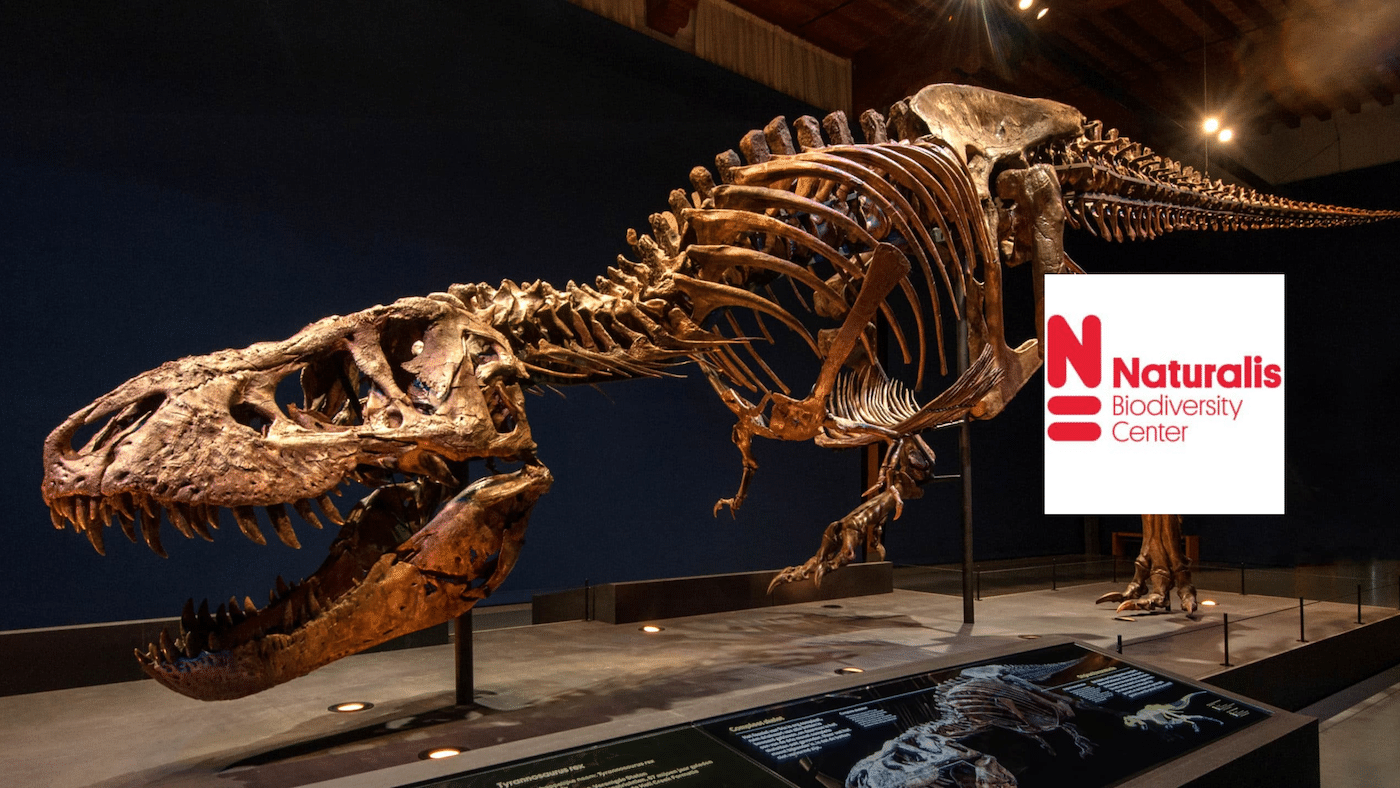 Naturalis, agile werken als museum